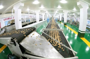 金正恩视察平壤食品工厂，赞国产设备像美男子，强调食品销售重要性