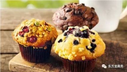 食品加工与销售一体化 投资选址项目的战略规划与实践